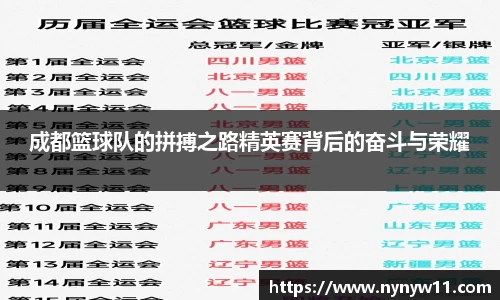 成都篮球队的拼搏之路精英赛背后的奋斗与荣耀